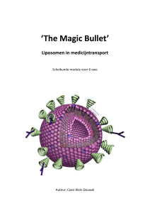 The Magic Bullet - Universiteit Utrecht