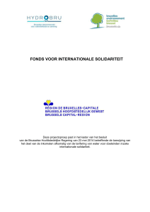 fonds voor internationale solidariteit