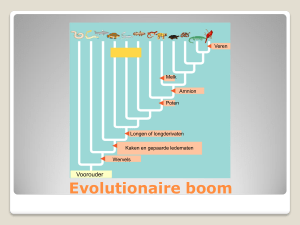 Evolutionaire boom