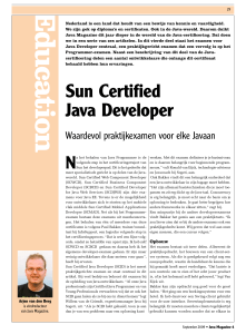 Sun Certified Java Developer - BI
