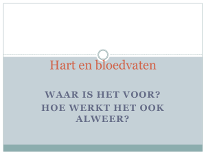 Hart en bloedvaten