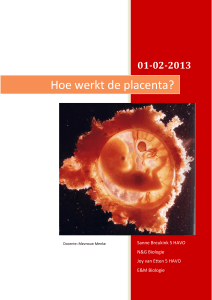 Hoe werkt de placenta?
