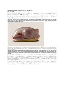 Kippenvlees vol met resistente bacteriën NRC, juli 2010 Het