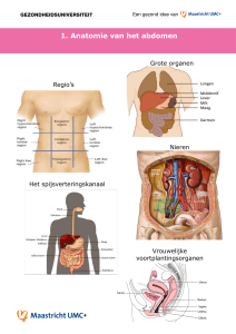 Regio`s Grote organen Het spijsverteringskanaal Nieren Vrouwelijke