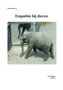 Empathie bij dieren, Bachelorthesis Bas Willems S238531