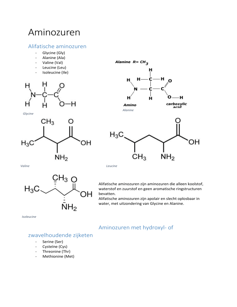 veronderstellen Koloniaal uitbreiden Basische aminozuren Histidine (His) Lysine (Lys