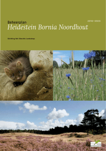 Heidestein Bornia Noordhout