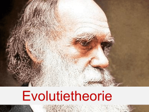 Evolutietheorie Darwin