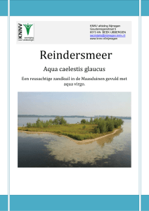 Reindersmeer