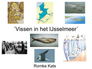 Vissen in het IJsselmeer