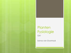 Plantenfysiologie