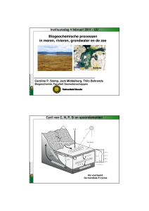 Biogeochemische processen in meren, rivieren, grondwater