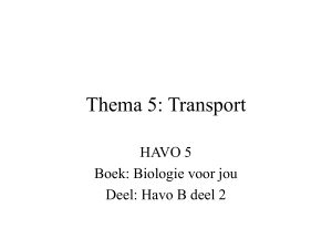 Thema 5: Transport