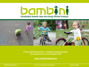 BAMBINI Project