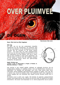 DE OGEN - Aviculture Europe