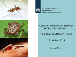 CMV: muggen, teken, knutten door Arjan Stroo