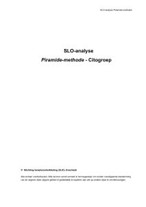 SLO-analyse Piramide-methode - Citogroep