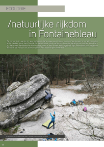natuurlijke rijkdom in Fontainebleau - Klim