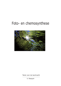 Fotosynthese en chemosynthese