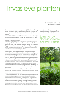 Invasieve planten - Arboretum Oudenbosch