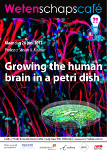 Growing the human brain in a petri dish