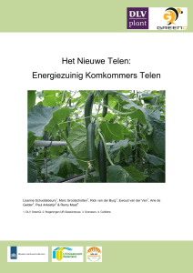 Het Nieuwe Telen: Energiezuinig Komkommers Telen
