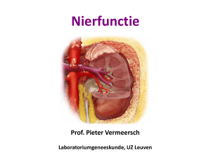 Nierfunctie