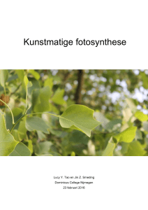 Kunstmatige fotosynthese