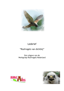Lesbrief “Roofvogels van dichtbij” Een uitgave van de Werkgroep
