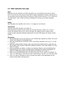 DNA-replicatie met Lego