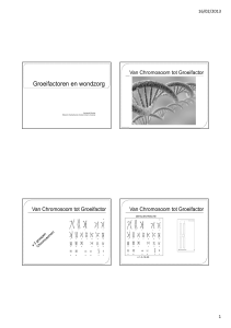 METACENTRISCHE n 1-3-19-20