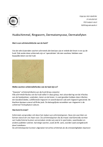 Huidschimmel, Ringworm, Dermatomycose, Dermatofyten