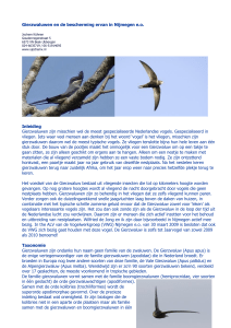 Gierzwaluwen en de bescherming ervan in Nijmegen eo