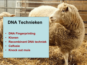 DNA Technieken - Biologiepagina