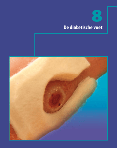 De diabetische voet