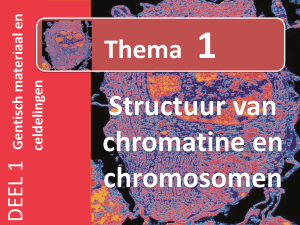 01 Bio 6 thema 1 structuur chromosomen