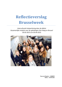 Reflectieverslag Brusselweek
