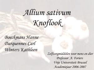 Allium Sativum - Vrije Universiteit Brussel