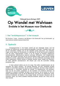 op_wandel_met_walvissen.cwk (TV)