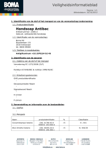 250013 NL _Handsoap Antibac