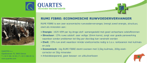 rumi fibre: economische ruwvoedervervanger