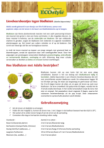 Lieveheersbeestjes tegen bladluizen (Adalia bipunctata)