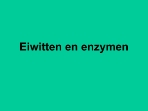 Eiwitten en enzymen