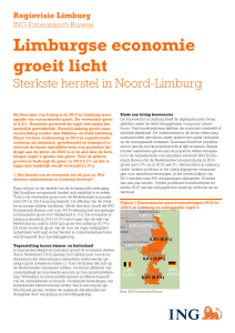 Limburgse economie groeit licht