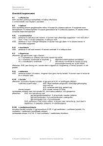 Overzicht kopzenuwen - Student Onbekend.nl