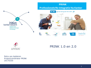 Presentatie project Prink 04-04-2017