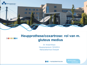 Heupprothese/coxartrose: rol van m. gluteus medius