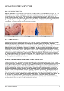 Mastocytose (urticaria pigmentosa) (patientenfolder)
