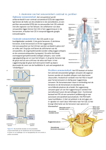 1. Anatomie van het zenuwstelsel: centraal vs. perifeer