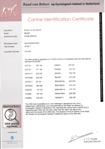 Conine ldentificotion Certificote